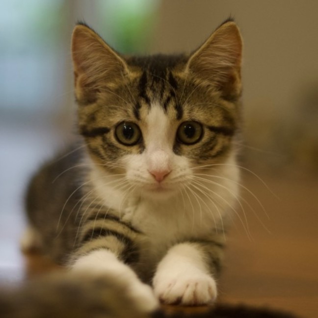 Photo of 💟 Mabel 💟