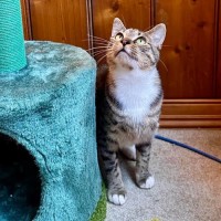 Photo of Fish   Located In Brunswick West