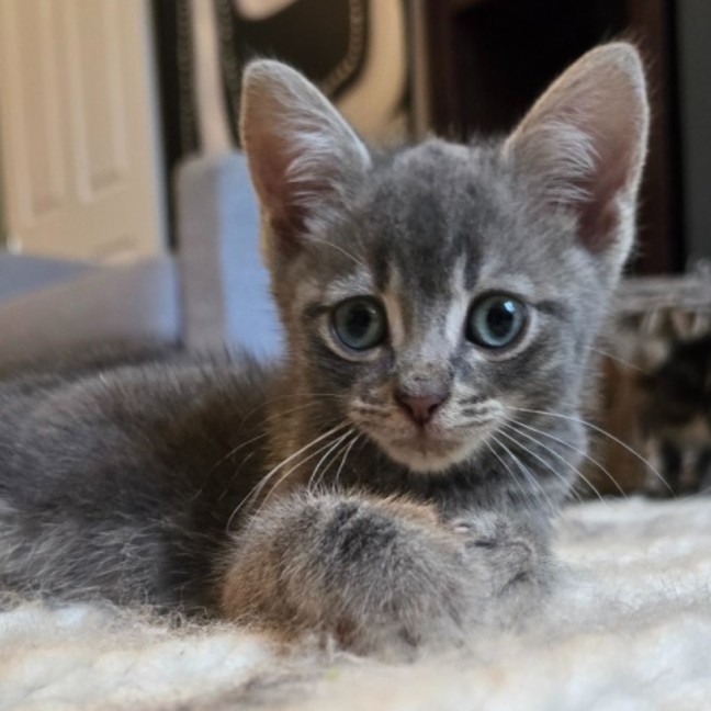 Photo of 🧡 Magnus 🧡