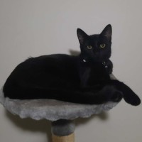Photo of Cosmo