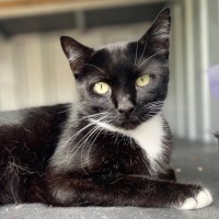 Photo of Astro