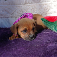 Photo of Buffy