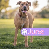 Photo of June