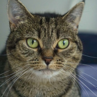 Photo of 💖Rin!!💖