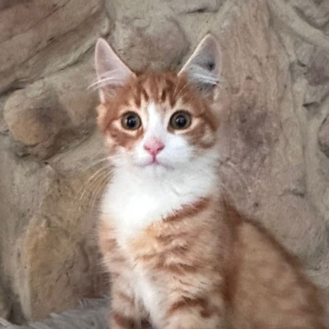 Photo of Pj
