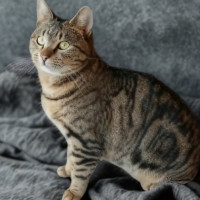 Photo of Maya
