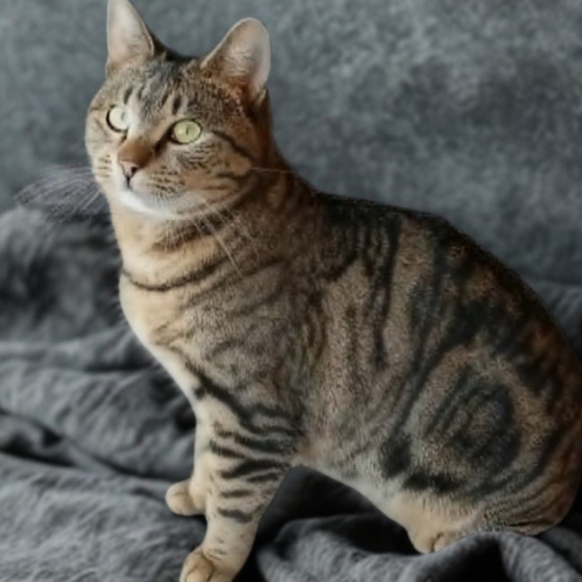 Photo of Maya