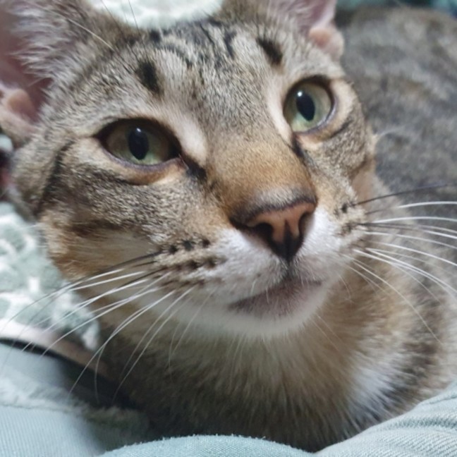 Photo of Bob