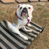 Photo of Betty