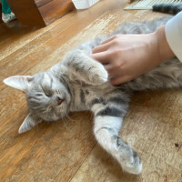 Photo of Hana   Located In Clayton