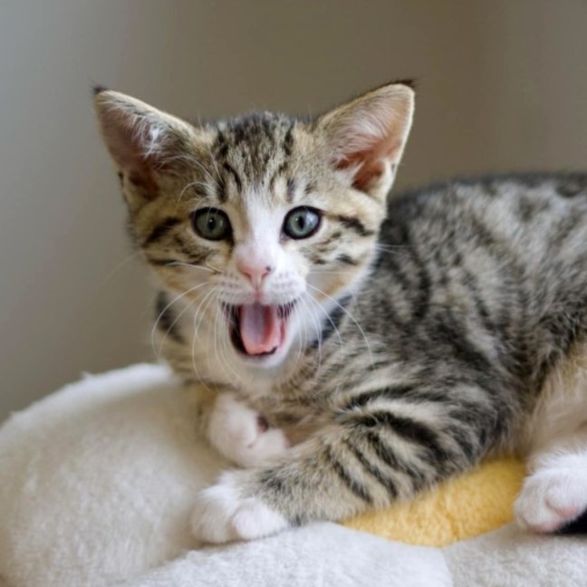 Photo of 😎 Simon 😎