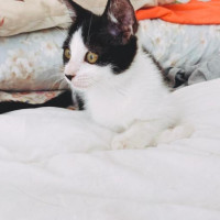 Photo of Chilli
