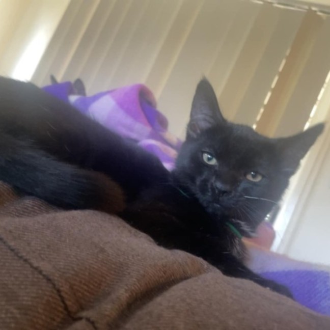 Photo of Hershey