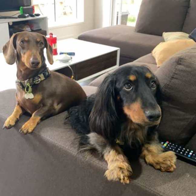 Photo of Bailey And Bentley