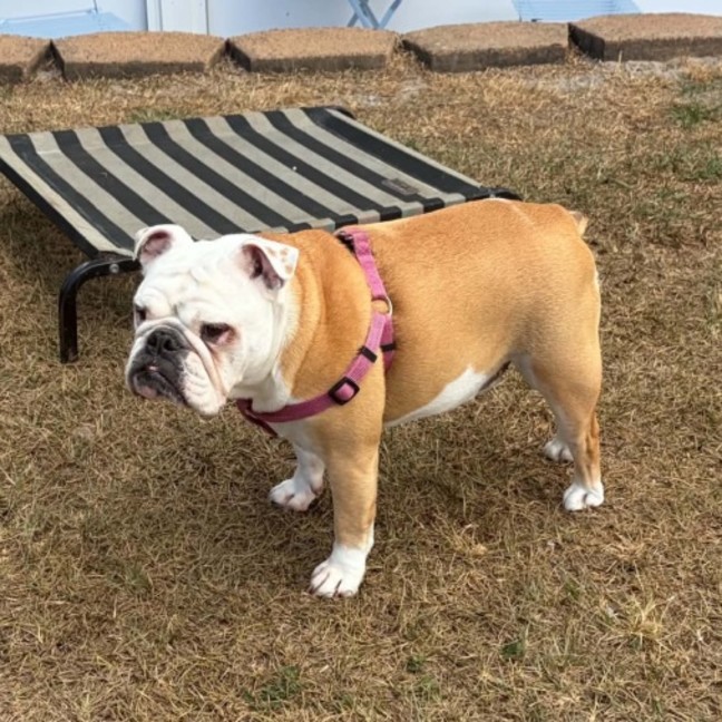 Photo of Betty