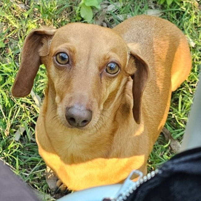 Photo of Chanel