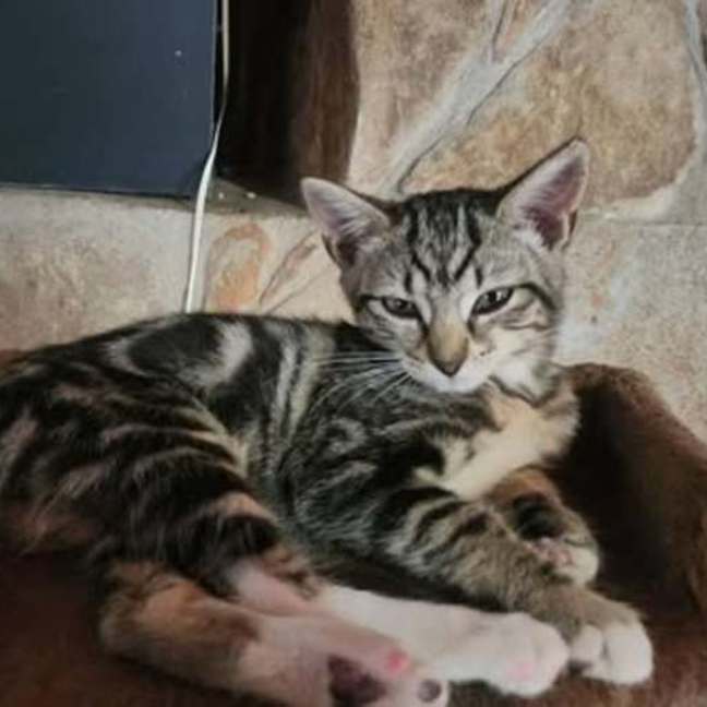 Photo of Teenie Bambini