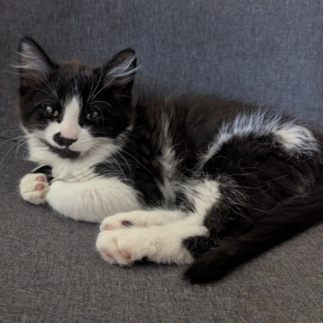 Photo of Fred Astaire