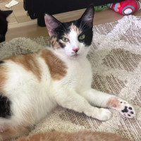 Photo of Baby Girl