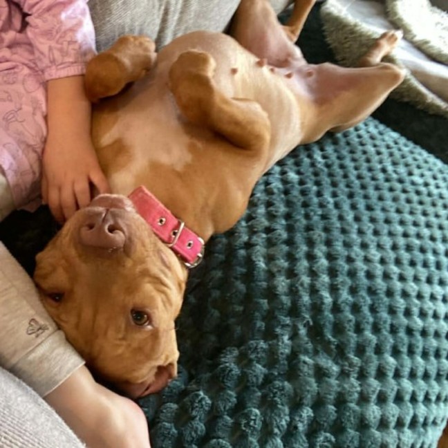 Photo of Honey