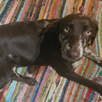 Photo of Elsa
