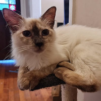 Photo of Sid And Nancy