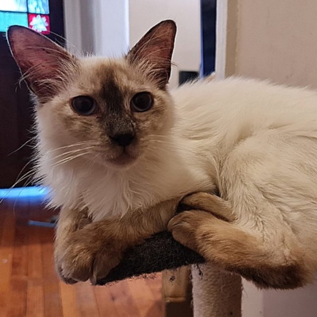 Photo of Sid And Nancy