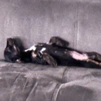 Photo of Millie ❤️🌞