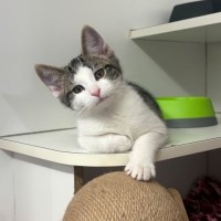 Photo of Larry