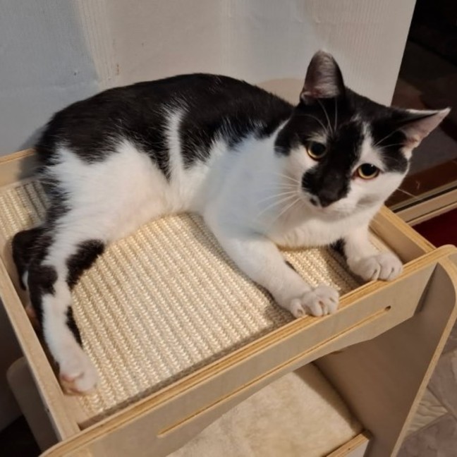 Photo of C1570 Spencer