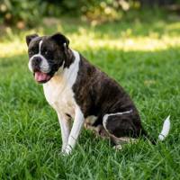 Photo of Molly