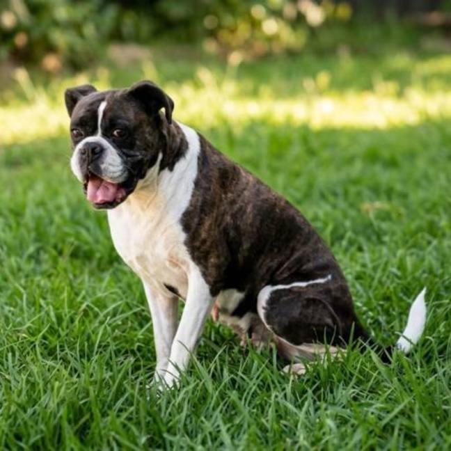 Photo of Molly