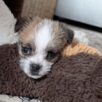 Photo of Loz