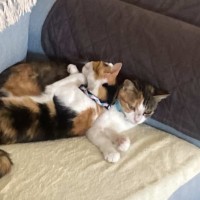 Photo of Holly & Angel