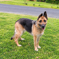 Photo of Bella