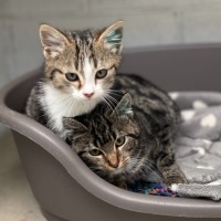 Photo of Kinki & Leelee