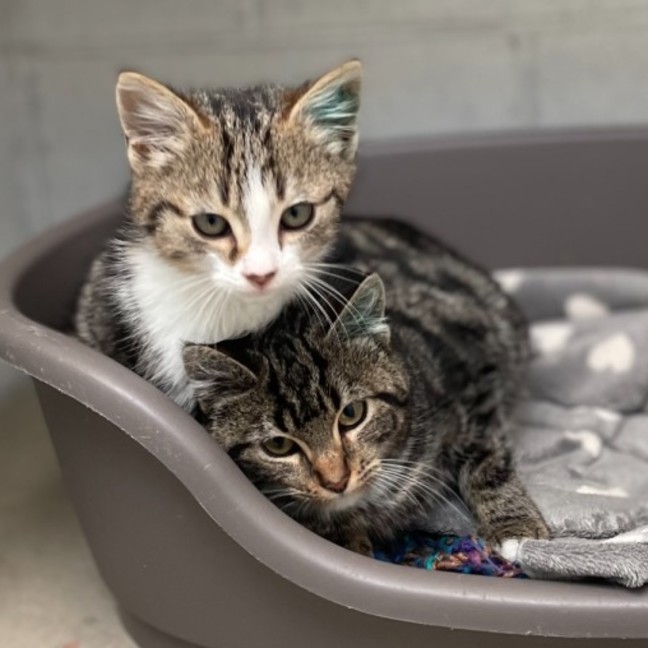 Photo of Kinki & Leelee