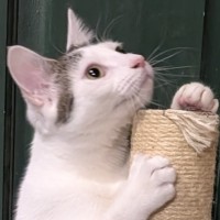 Photo of Dora