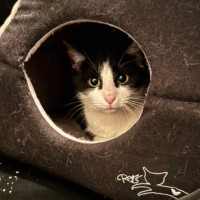 Photo of Wilhelmina (Wilma)