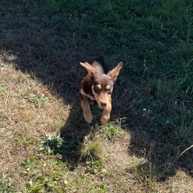 Photo of Jack