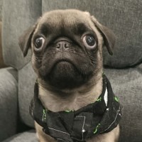 Photo of Harold
