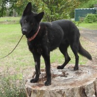 Photo of Lilith Aka Lily