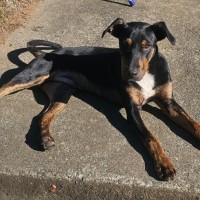 Photo of Maxy