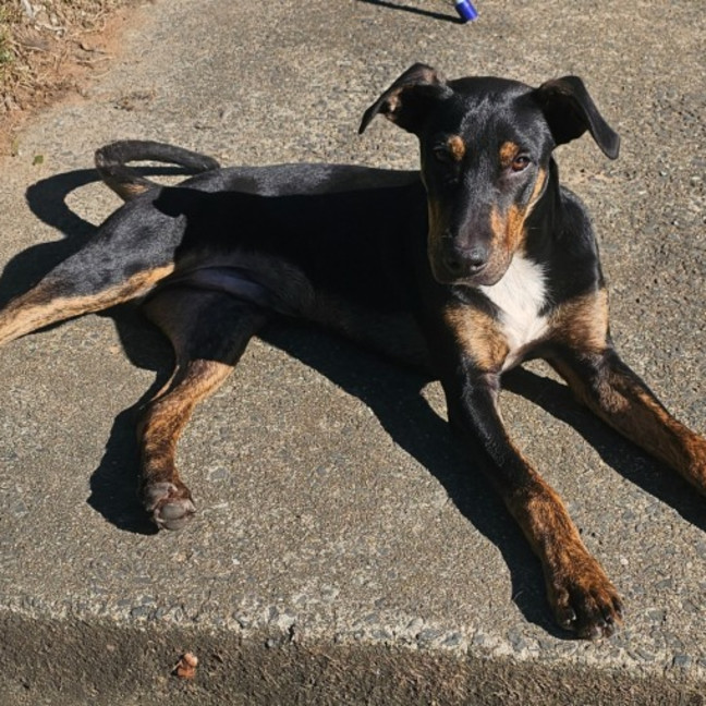 Photo of Maxy