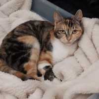 Photo of Buttons & Charlie