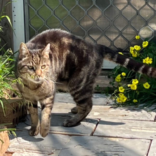 Photo of Jagger   Can Transport To You 