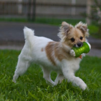 Photo of ☀️ Sonny ☀️