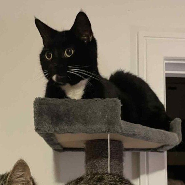 Photo of Hershey   Located In Bentleigh East