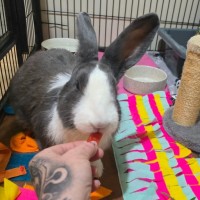 Photo of Masiy (Located In Wantirna South)