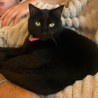 Photo of Moni